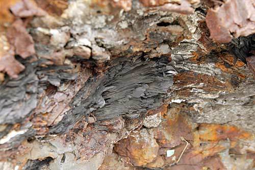 Figure 33. Close-up of part of the 'Meteorite' that was once preserved in Hangar 17 of John F. Kennedy International Airport (JFK) for WTC remains. According to Peter Gatt (preservationist), it is the spine of a report. Detailed view of meteorite artifact showing paper fibers embedded in metallic matrix, with legible text and no evidence of carbonization or ash formation