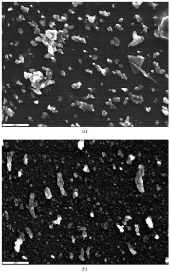 Figure 79. A slide from the DELTA Group's fine dust samples. Scanning electron microscopy showing ultrafine particles in 90-260 nanometer range from a rooftop at 201 Varick Street, NYC on the Oct 3, 2001 (1.8 km north-northeast of the WTC site), demonstrating nano-scale dissociation